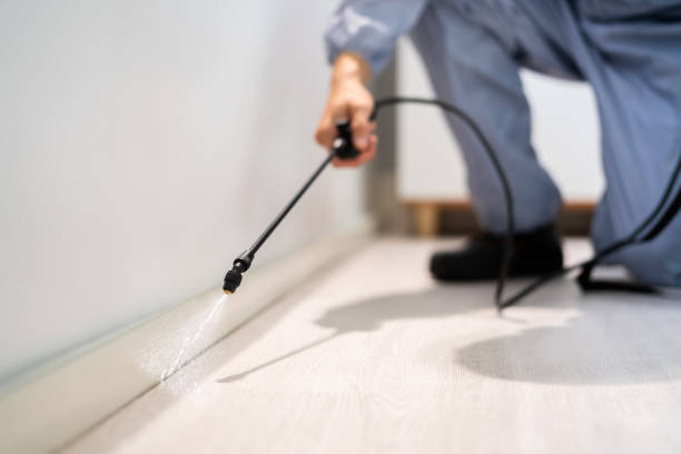 Licensed Termite Control service in Verdigris, OK - Show Me Pest Control